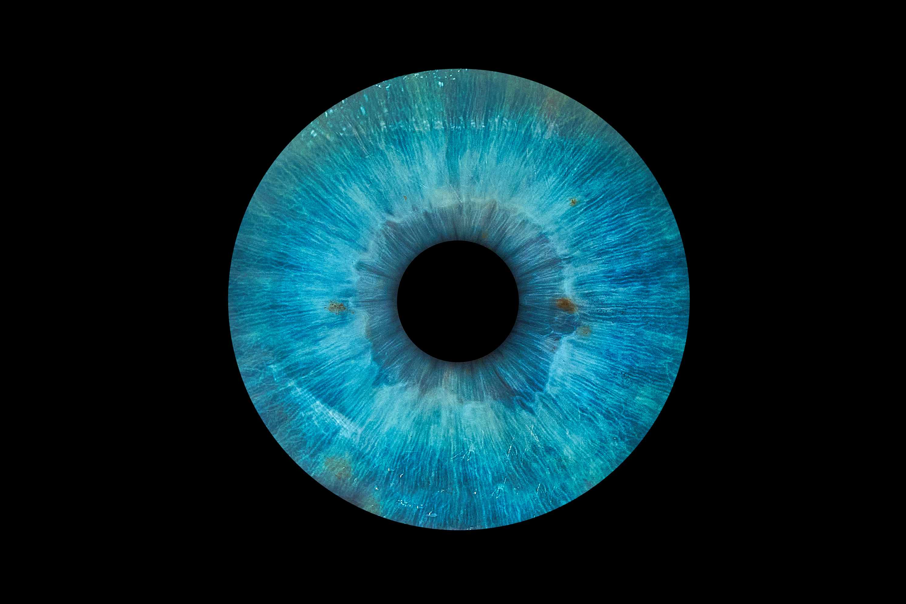Iris-Strukturen Detail (Links)